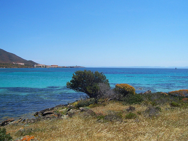 Parco nazionale dell'Asinara